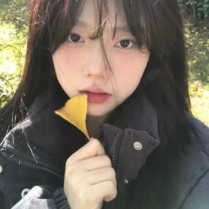 野探哈莉第四季