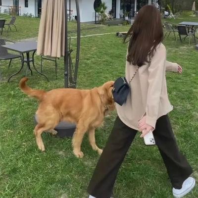命运速递